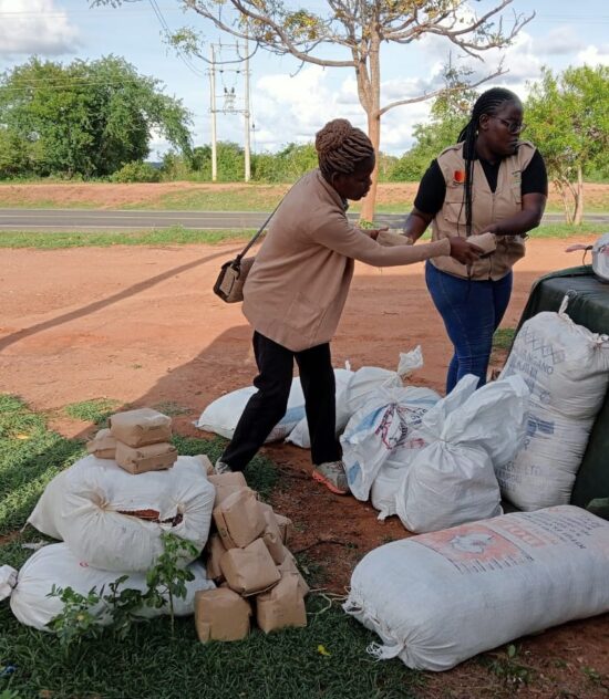 Agricultural Market Systems Development